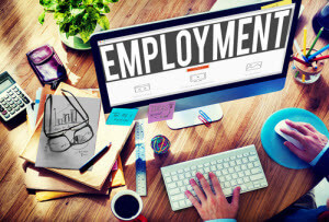 employment in U.S.