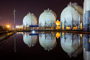 Petrochemical Industry Structure